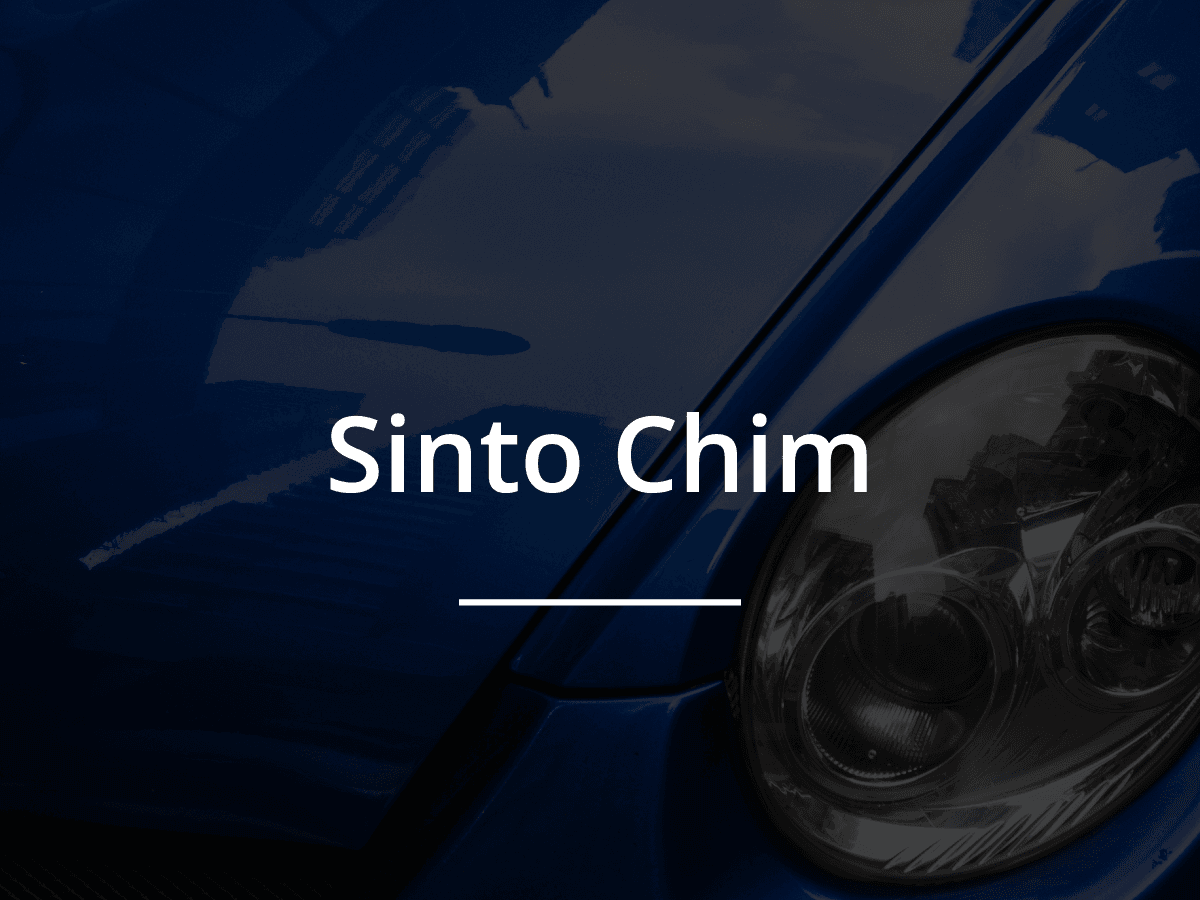 sinto chim