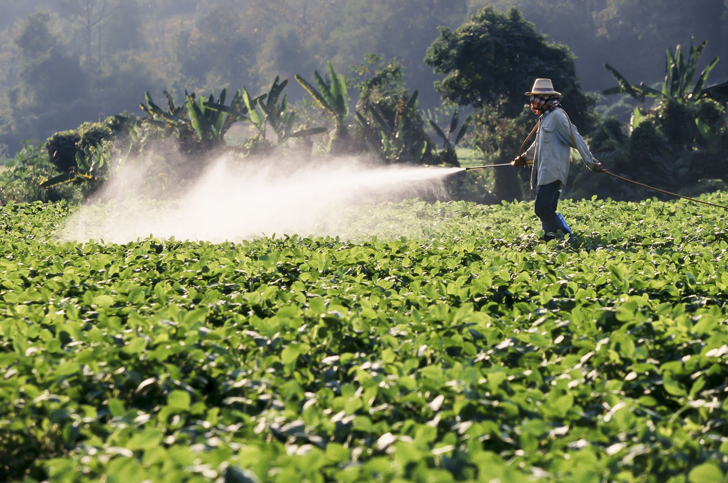Glissando erp vanzare pesticide