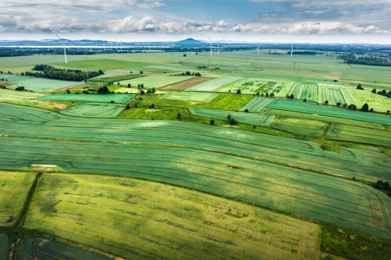 ERP contracte de arenda in agricultura