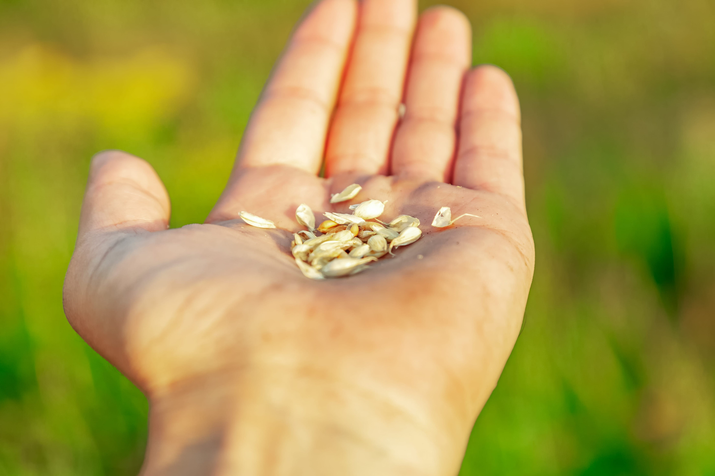 ERP imputuri agricole